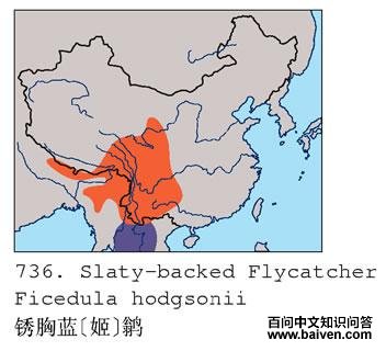 ������[��]�l�ĵ����ֲ�ͼ