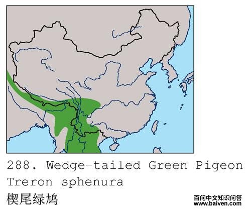 Шβ���ĵ����ֲ�ͼ