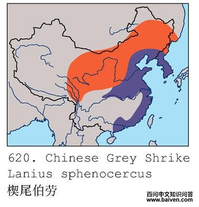 Шβ���͵ĵ����ֲ�ͼ