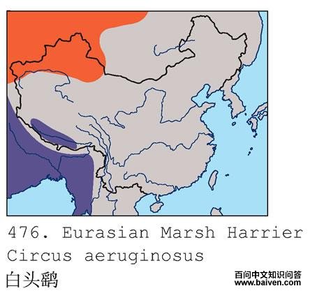 ��ͷ�εĵ����ֲ�ͼ