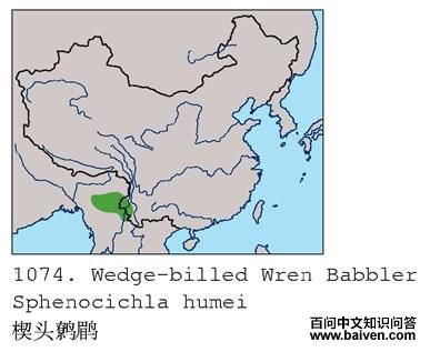 Шͷ���̵ĵ����ֲ�ͼ