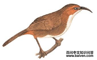 ���������̵�ͼ��