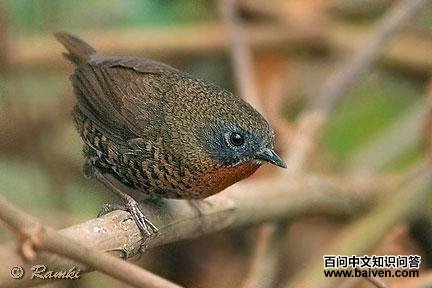 ������̵�ͼ��