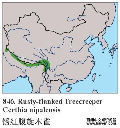 ��츹��ľȸ�ĵ����ֲ�ͼ