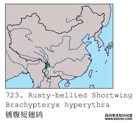 �⸹�̳��ĵ����ֲ�ͼ