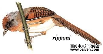 ���߳��̵�ͼ��