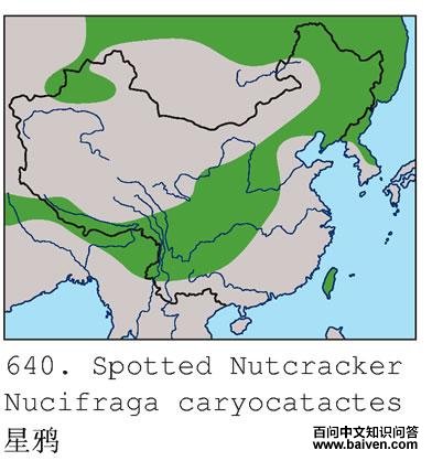 ��ѻ�ĵ����ֲ�ͼ