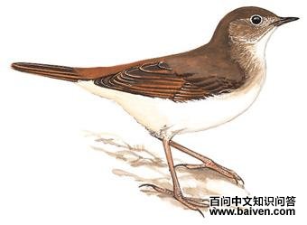 �½�����ͼ��