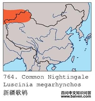 �½����ĵ����ֲ�ͼ