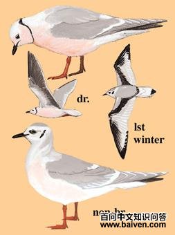 ШβŸ��ͼ��