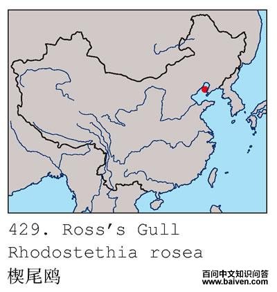 ШβŸ�ĵ����ֲ�ͼ