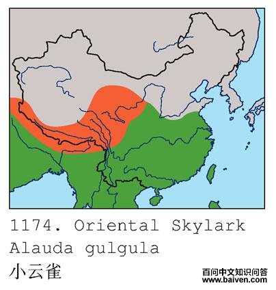 С��ȸ�ĵ����ֲ�ͼ