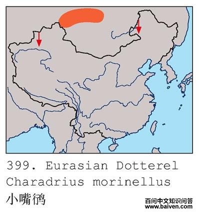 С���a�ĵ����ֲ�ͼ