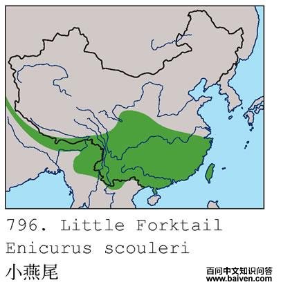 С��β�ĵ����ֲ�ͼ