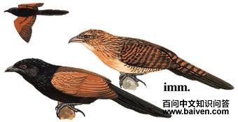 Сѻ���ͼ��