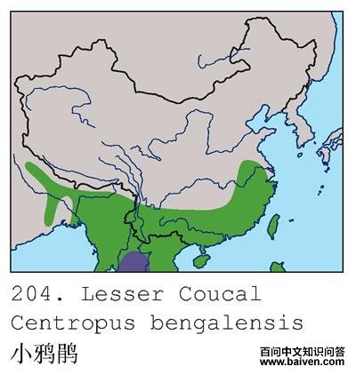 Сѻ��ĵ����ֲ�ͼ