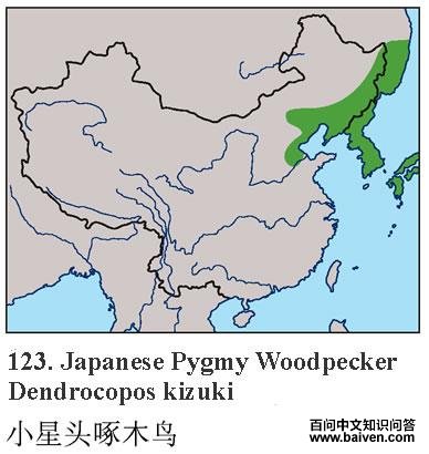 С��ͷ��ľ��ĵ����ֲ�ͼ