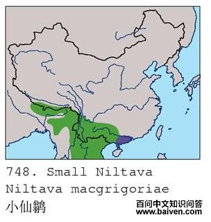 С���l�ĵ����ֲ�ͼ