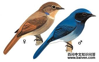 С���l��ͼ��