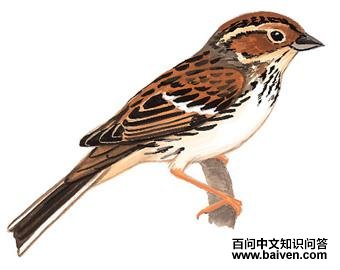 С�c��ͼ��