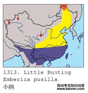 С�c�ĵ����ֲ�ͼ