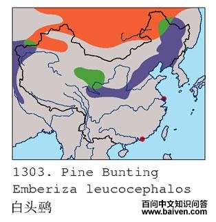 ��ͷ�c�ĵ����ֲ�ͼ