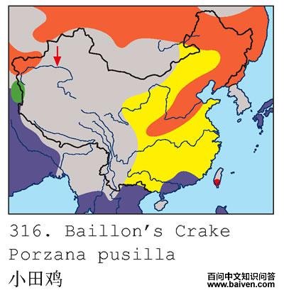 С�Ｆ�ĵ����ֲ�ͼ