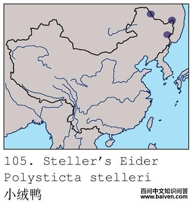 С��Ѽ�ĵ����ֲ�ͼ