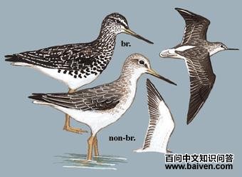 С����ֵ�ͼ��