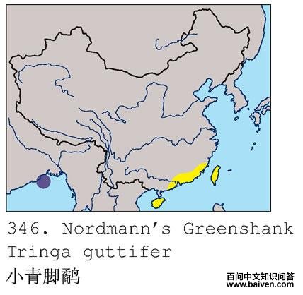 С����ֵĵ����ֲ�ͼ