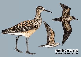 С��ֵ�ͼ��