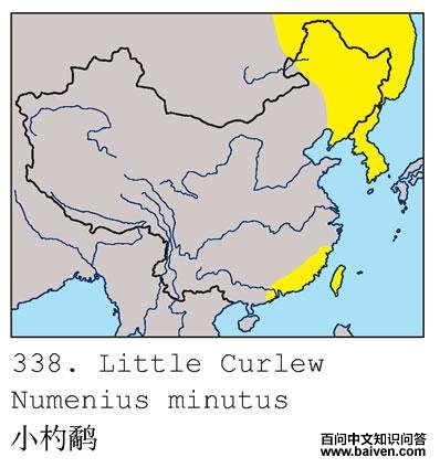 С��ֵĵ����ֲ�ͼ