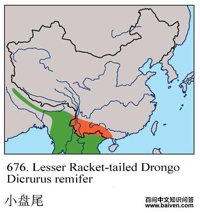 С��β�ĵ����ֲ�ͼ