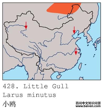 СŸ�ĵ����ֲ�ͼ