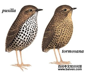 С��[��]���̵�ͼ��