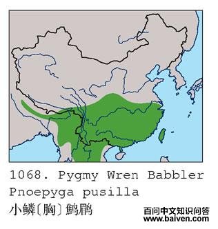 С��[��]���̵ĵ����ֲ�ͼ