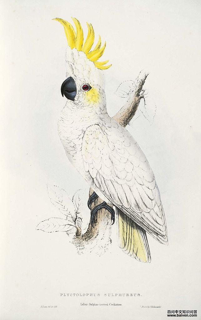 С������ͷ���ĵ�ͼ��