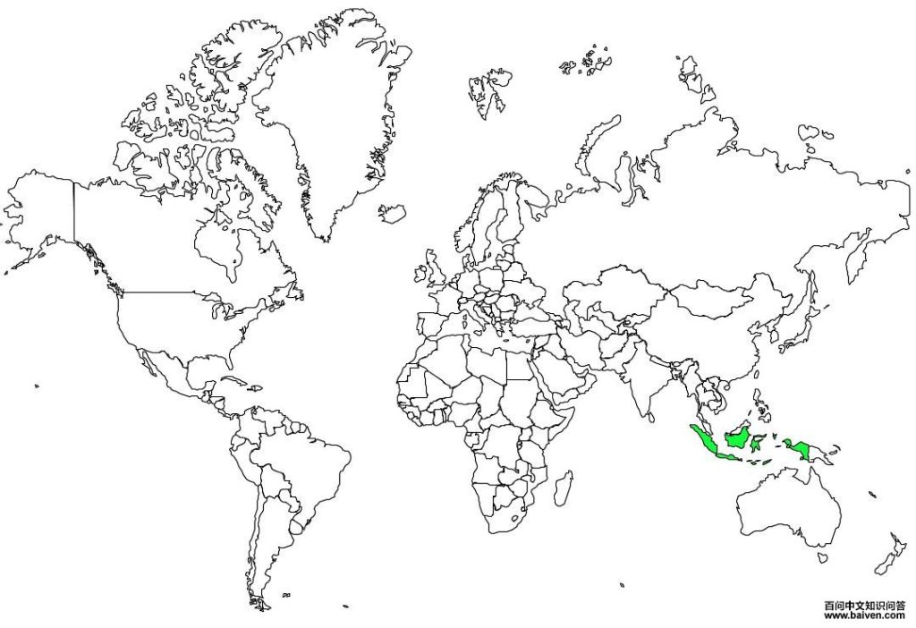 С������ͷ���ĵĵ����ֲ�ͼ