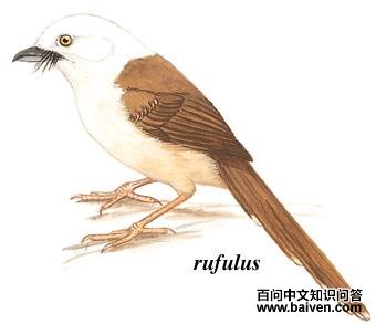 ��ͷ�V�̵�ͼ��