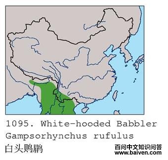 ��ͷ�V�̵ĵ����ֲ�ͼ