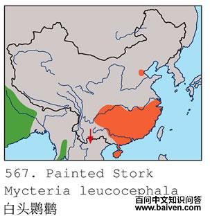 ��ͷ�q�ٵĵ����ֲ�ͼ