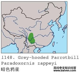 ��ɫѻȸ�ĵ����ֲ�ͼ