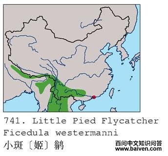 С��[��]�l�ĵ����ֲ�ͼ