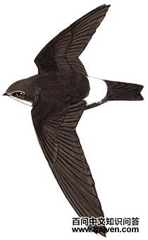 С���������ͼ��