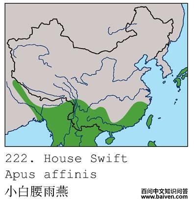 С��������ĵ����ֲ�ͼ