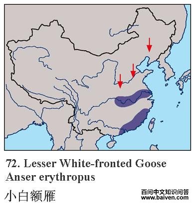 С�׶���ĵ����ֲ�ͼ