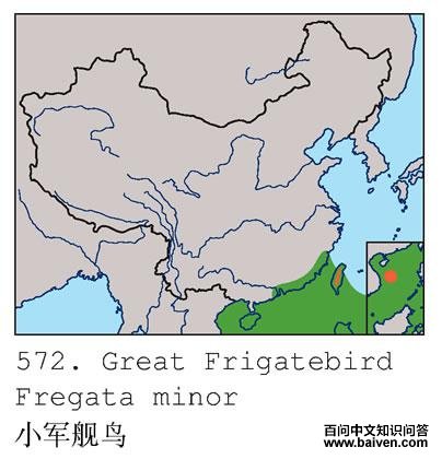 С������ĵ����ֲ�ͼ