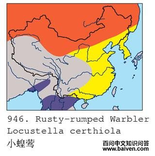 С��ݺ�ĵ����ֲ�ͼ