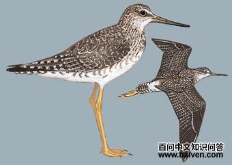 С�ƽ��ֵ�ͼ��