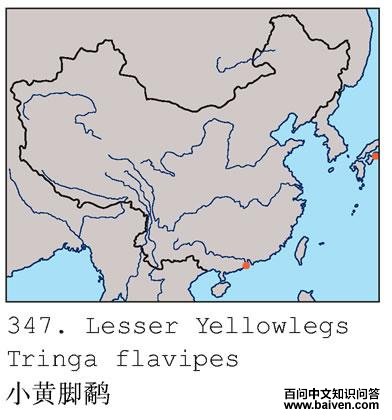 С�ƽ��ֵĵ����ֲ�ͼ